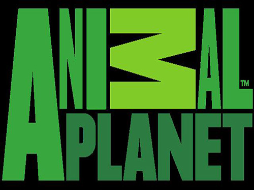 Animal Planet: Signage content